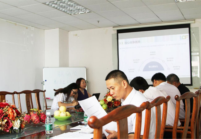 上市办领导听kaiyun开云创始人龙平芳女士做深度汇报