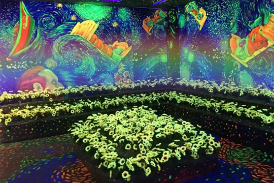 led双色显示屏 led双色显示屏